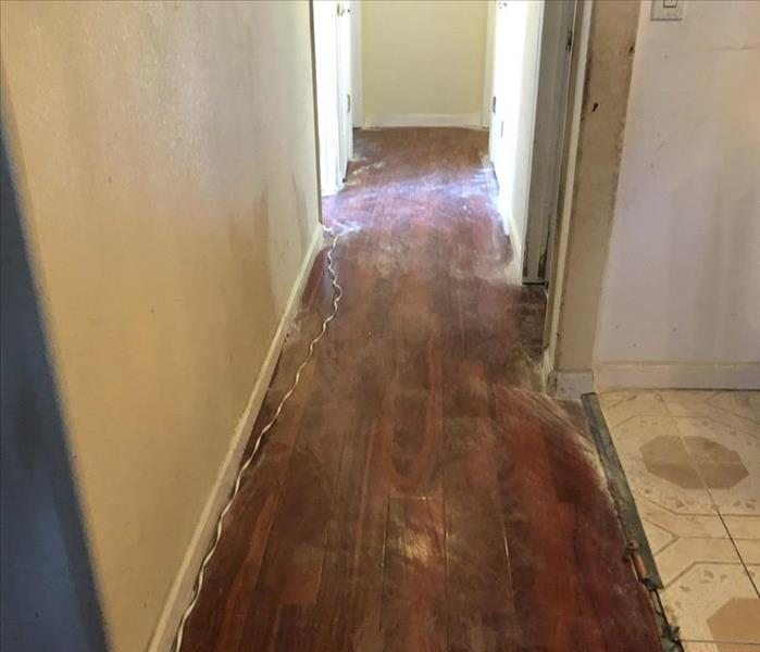 Hallway hardwood floor covered in extinguisher dust