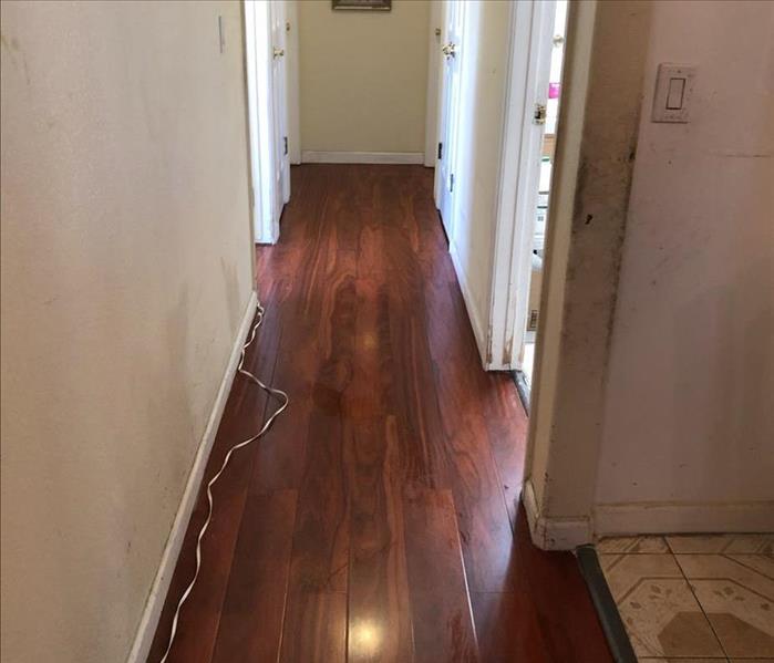 Hallway hardwood floor cleaned extinguisher dust